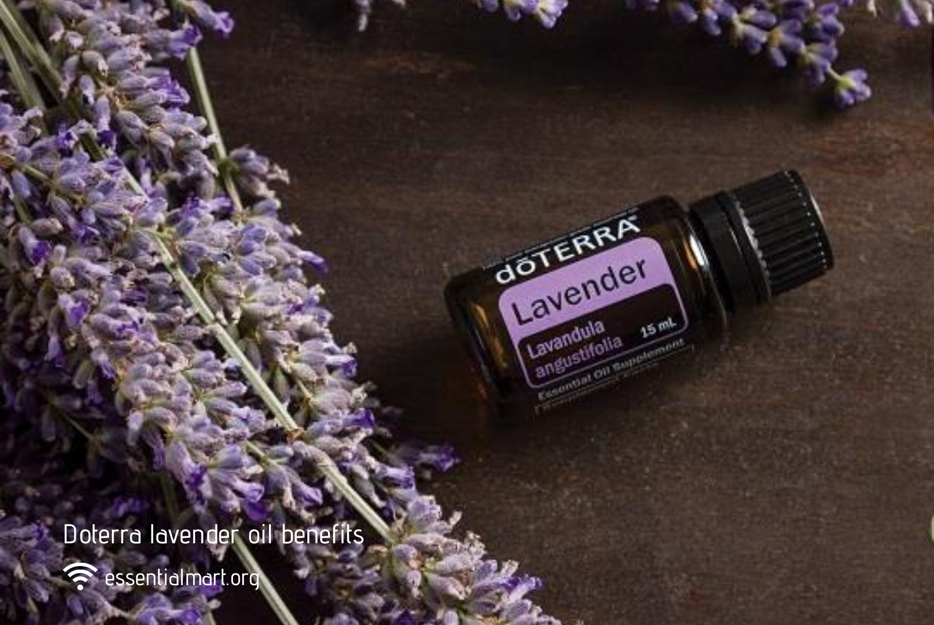 doTERRA lavender oil benefits